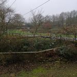 Philippe Thibault - @philippe.thibault.583 - Instagram