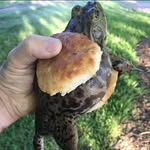 Phill Johnson - @phil_swift422 - Instagram