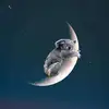 allenphillip62 - @allenphillip - TikTok