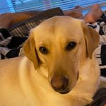 Phillip Allen - @phillipallen8613 - Instagram