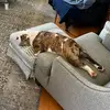 phillipallen07 - @phillip.allen4 - TikTok