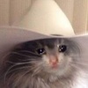 Phillip Arias Zapién - @phillipariaszapi - TikTok