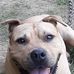 Phillip Ayers - Facebook