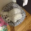 Phillip Barwick - @phillip.barwick - TikTok