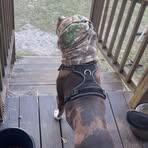 Phillip Battles - Facebook