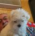 Phillip Bean - Facebook