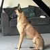 Phillip Bean - Facebook