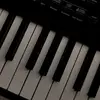 phillipbeasley193 - @phillipbeasley193 - TikTok