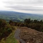 Phillip Beesley - @phillipbeesley - Instagram
