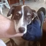 Phillip Benedict - @phillip.benedict.9634 - Instagram