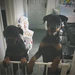 Phillip Benson - @phillbenson - Instagram