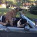 Philip Bethea - Facebook