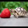 Philip Bittner - @philip.bittner - TikTok