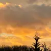 phillipbittner8 - @philssecretspammm - TikTok