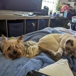 Phillip Blair - @syphos159 - Instagram