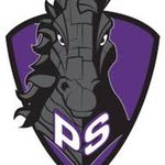 Philip Simmons Junior Board - @pshjuniorboard - Instagram