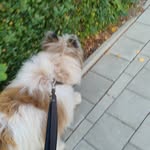 Phillip Bock - @p.hil.li.p99 - Instagram