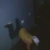 phillipbracy - @phillipbracy - TikTok
