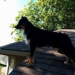 @phillip.brauner - Instagram