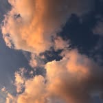 Phillip Braun - @phillipbraun3 - Instagram