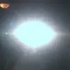 Phillipp Braun - @phillippbraun - TikTok
