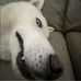 Philip Burge - Facebook
