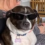 Phillip Burgess - @burgessphillip - Instagram