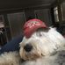 Phillip Burleson - Facebook
