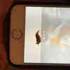 Phillip Burney - @phillipburney23 - TikTok