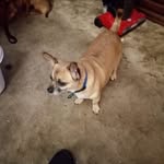 Phillip Burt - @phillip.burt.1656 - Instagram