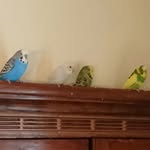 phillip burt Janet And Sandra - @phillipburtjanetsandra - Instagram