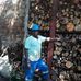 Phillip Tree Felling Services call  067 3900 667. - Facebook