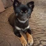 Philip Capps - @philipcapps - Instagram