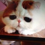 Phillip Carey - @phillip.carey.92 - Instagram