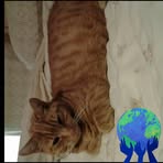 Phillip Chaplin - Facebook