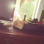 Phillip Cheek - @stormy_supreme - Instagram