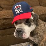 Phillip Chester - @phillipchester9 - Instagram