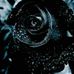 Clancy Phillips - Facebook