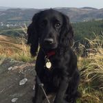 Phillip Clarke - @philgclarke - Instagram