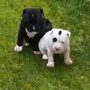 Phillip Clarke - @phillip.clarke13 - TikTok