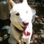 jade - @phillipcockerham3116 - Instagram