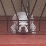 Philip Cornejo - @flipper09 - Instagram