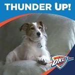 Phillip Culp - @phillipculp - Instagram