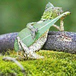 phillip - @phillipdiamond.pd - Instagram