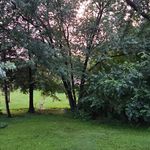 Philip Dickey - @phil.ip1305 - Instagram