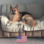 Phillip Dickey - @philcar.94 - Instagram