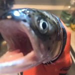 Phillip Donaldson - @pickles_aint_good - Instagram