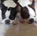 Phillip Donovan - Facebook