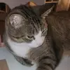 Philip Doolittle793 - @atlphillip - TikTok