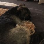 Phillip Dossett - @phillipdossett - Instagram